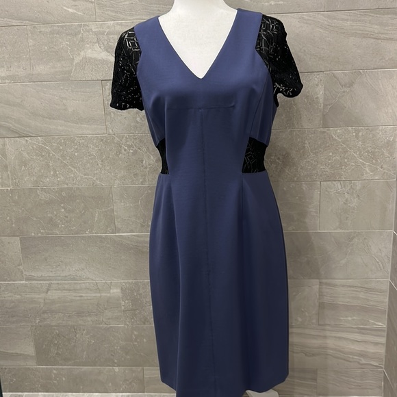Rebecca Taylor Dresses & Skirts - Rebecca Taylor purple professional dress black lace inserts 10 8